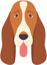 Lucy's avatar