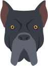 Paul's avatar